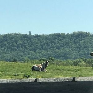 Meet your Posher, Christine